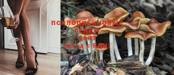 каннабис Аркадак